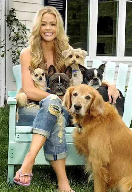 Denise Richards sitting on the chair in the lawn with her small dogs behind her Golden Retriever sitting on the grass