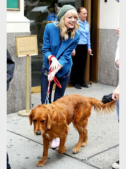 Emma Stone in the street smiling to her fans with her Golden Retriever