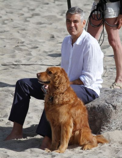 George Clooney sitting on a rock with his Golden Retriever sitting beside him in the sand