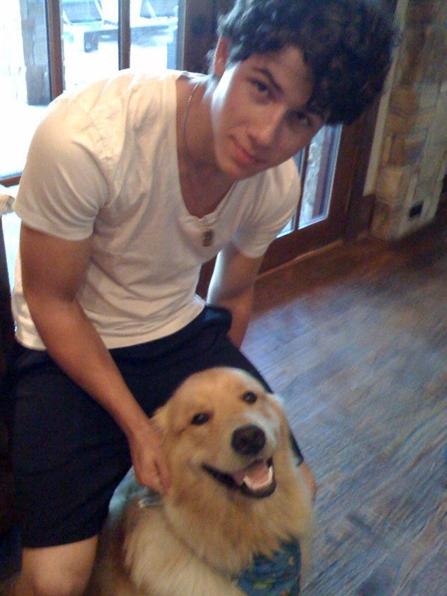 Nick Jonas petting his Golden Retriever