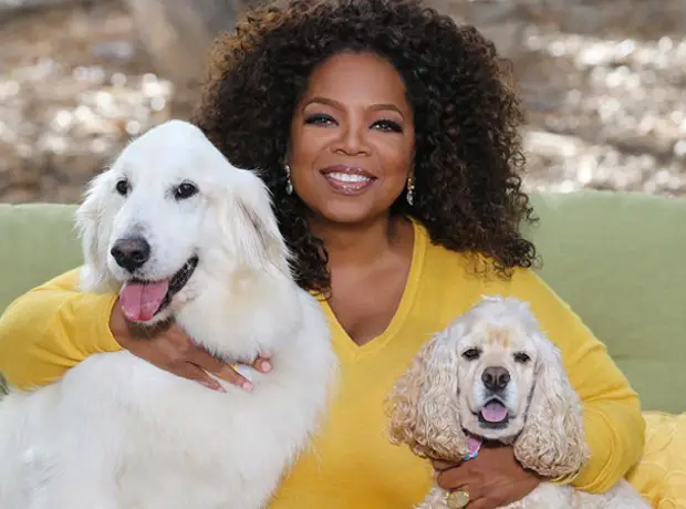 Oprah Winfrey with her white Golden Retriever