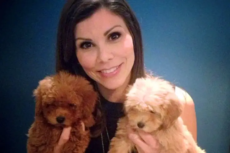 Heather Dubrow caryring her two Goldendoodle puppies