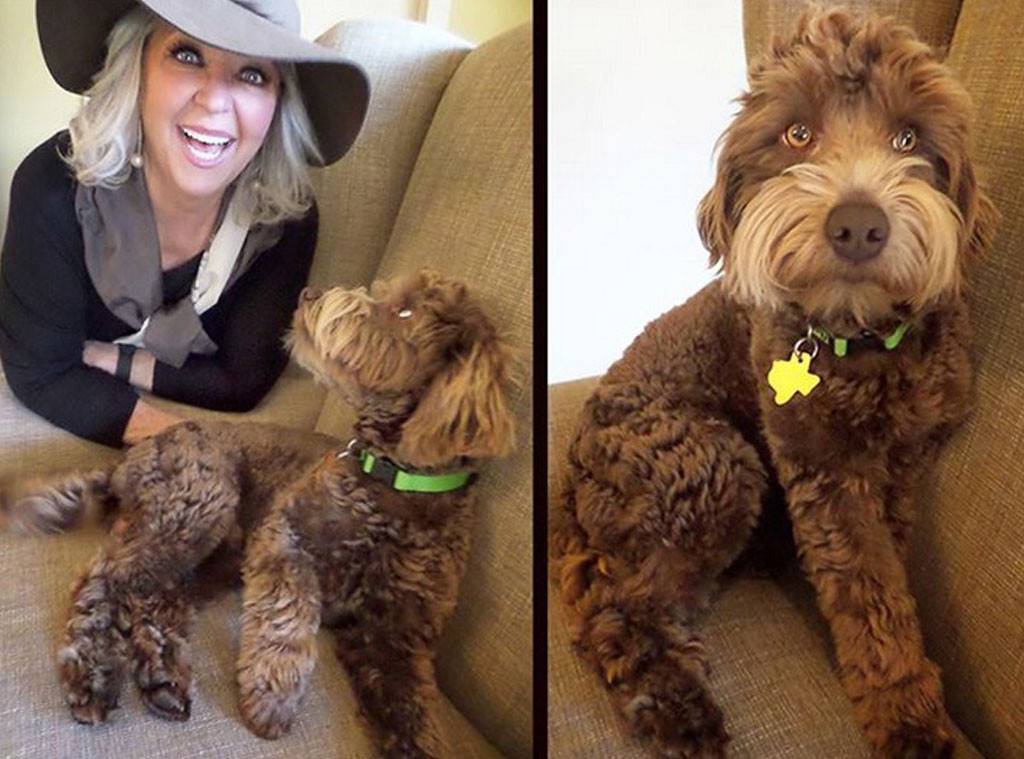 Paula Deen lying on the couch behind her Goldendoodle puppy