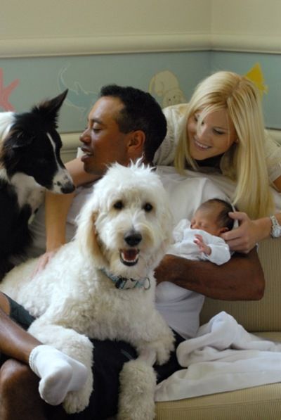Tiger Woods carrying her baby while his Goldendoodle is lying on top of his lap and a Border Collie is sitting next to him while his wife is behind him