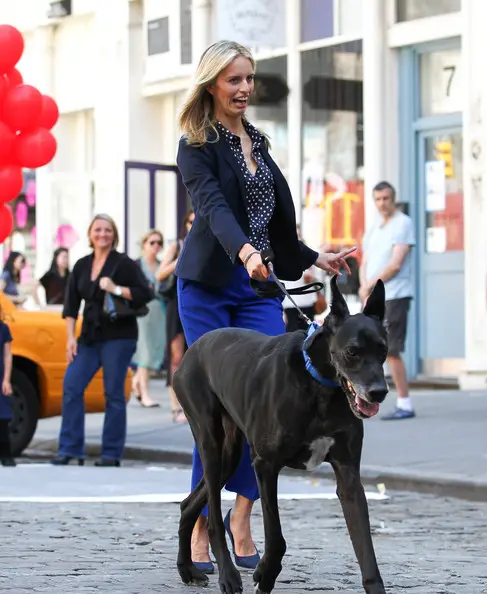 Karolina Kurkova walking in the street with her Great Dane