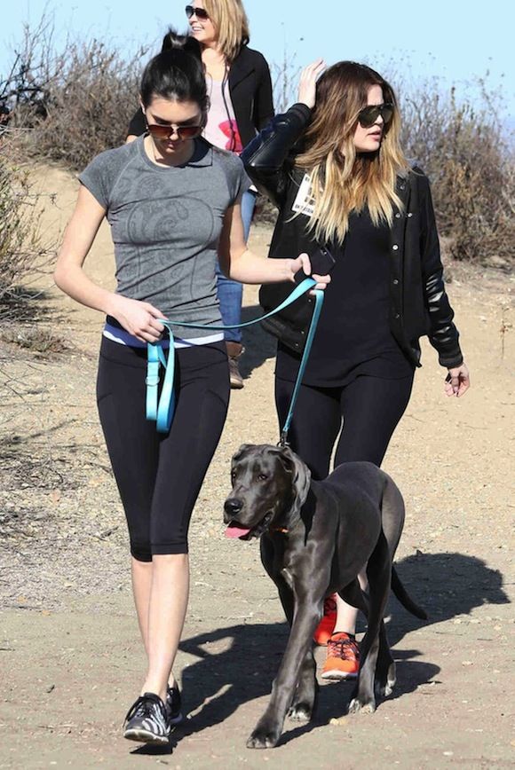 Kendall Jenner walking in the mountain with her Great Dane puppy