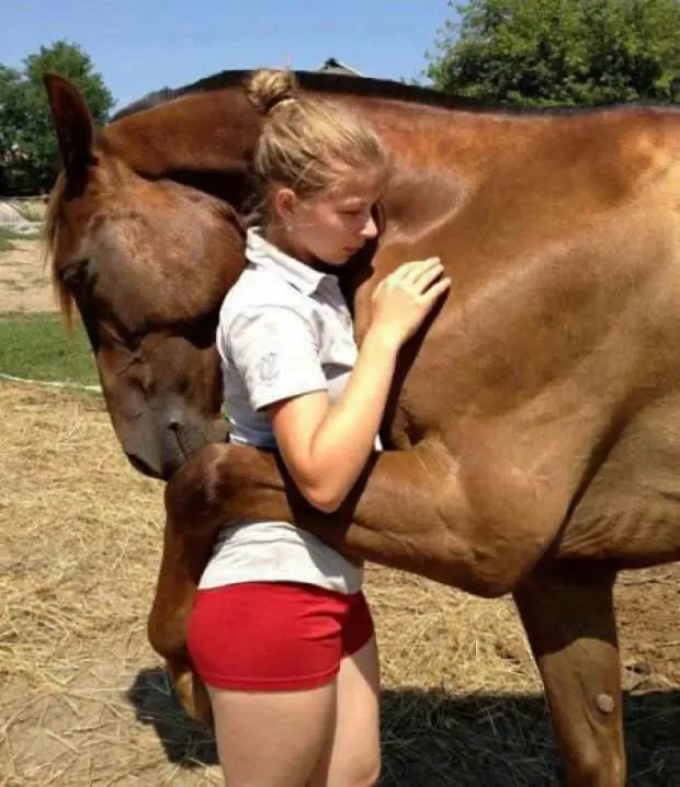 a girl hugging a horse