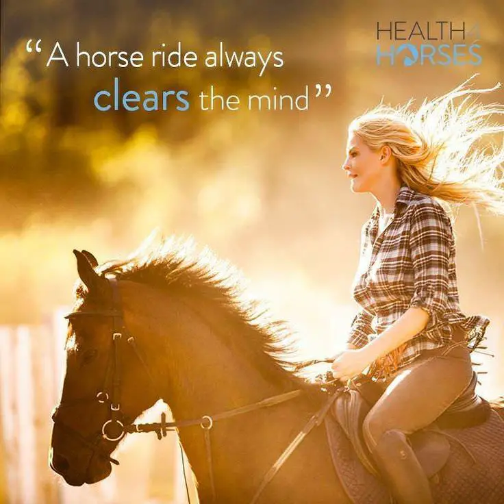 girl riding a horse photo with a saying 