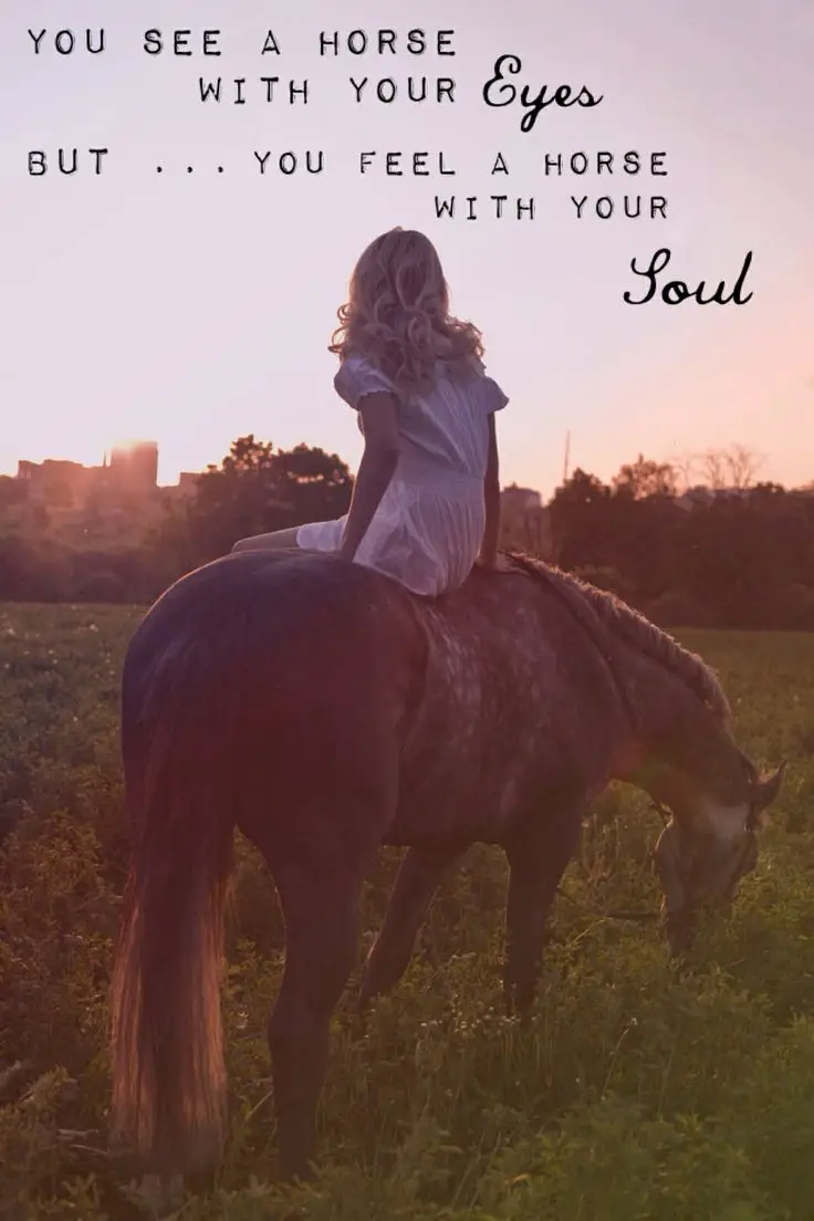a girl sitting on the back of a horse photo with a saying 