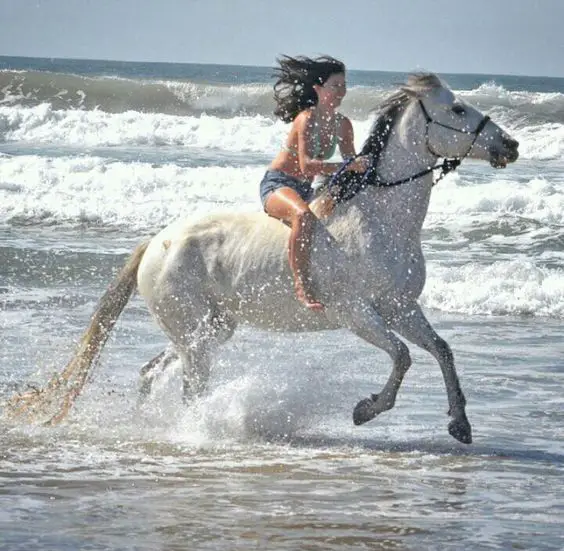 girl riding horse in the beach