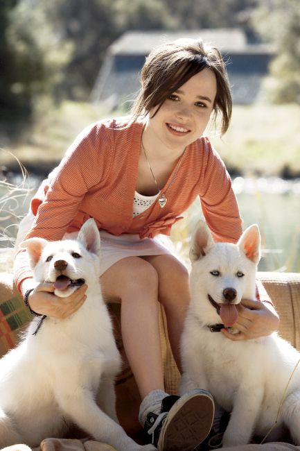 Ellen Page sitting on the bench while petting her two husky sitting on the floor