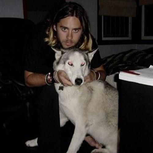 Jared Leto sitting on the chair while petting his Husky sitting on the floor