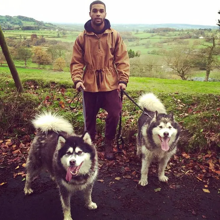 Lucien Laviscount walking his two Huskies at the park