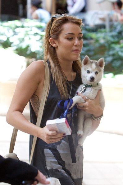 Miley Cyrus walking in the street while carrying her Husky