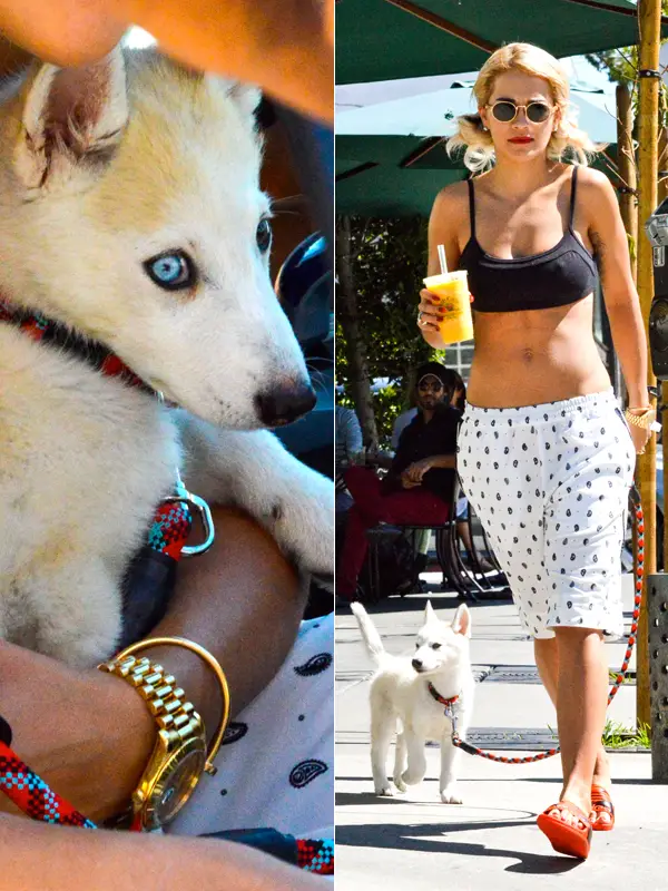 Rita Ora walking in the street with her Husky puppy