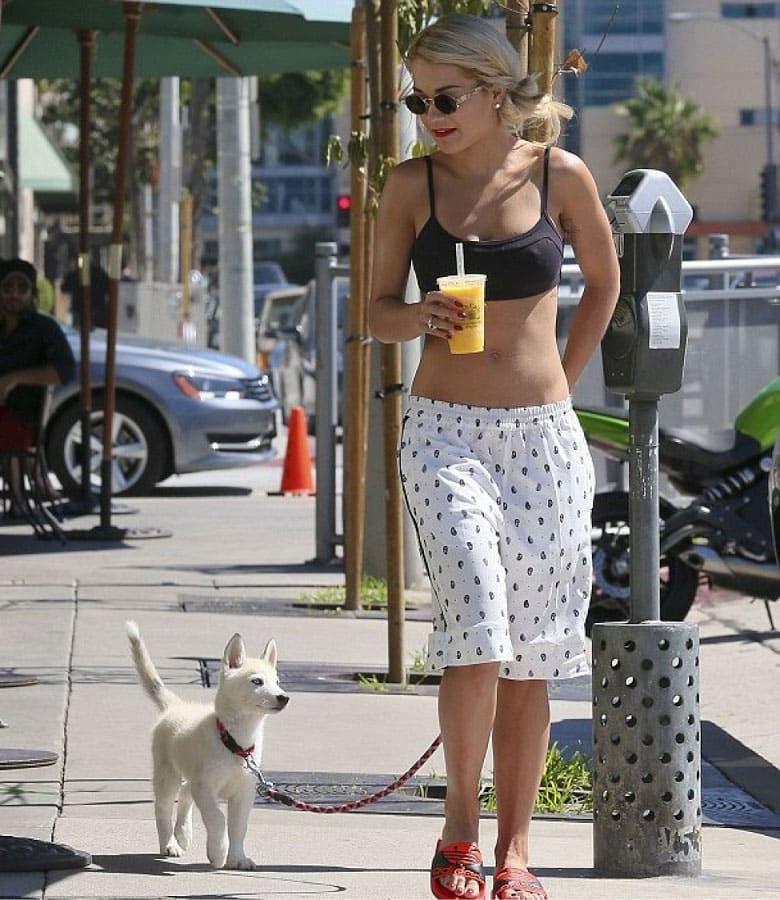 Rita Ora walking in the street with her Husky puppy on a leash