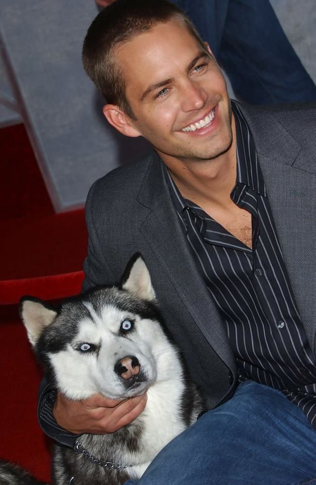 Paul Walker with his Husky sitting next to him