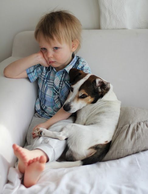 Jack Russell sitting on the couch cuddling an upset boy