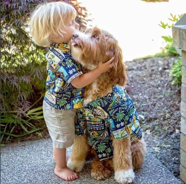 Labradoodle puppy sitting on the floor while being hugged by a kid wearing matching polo with him