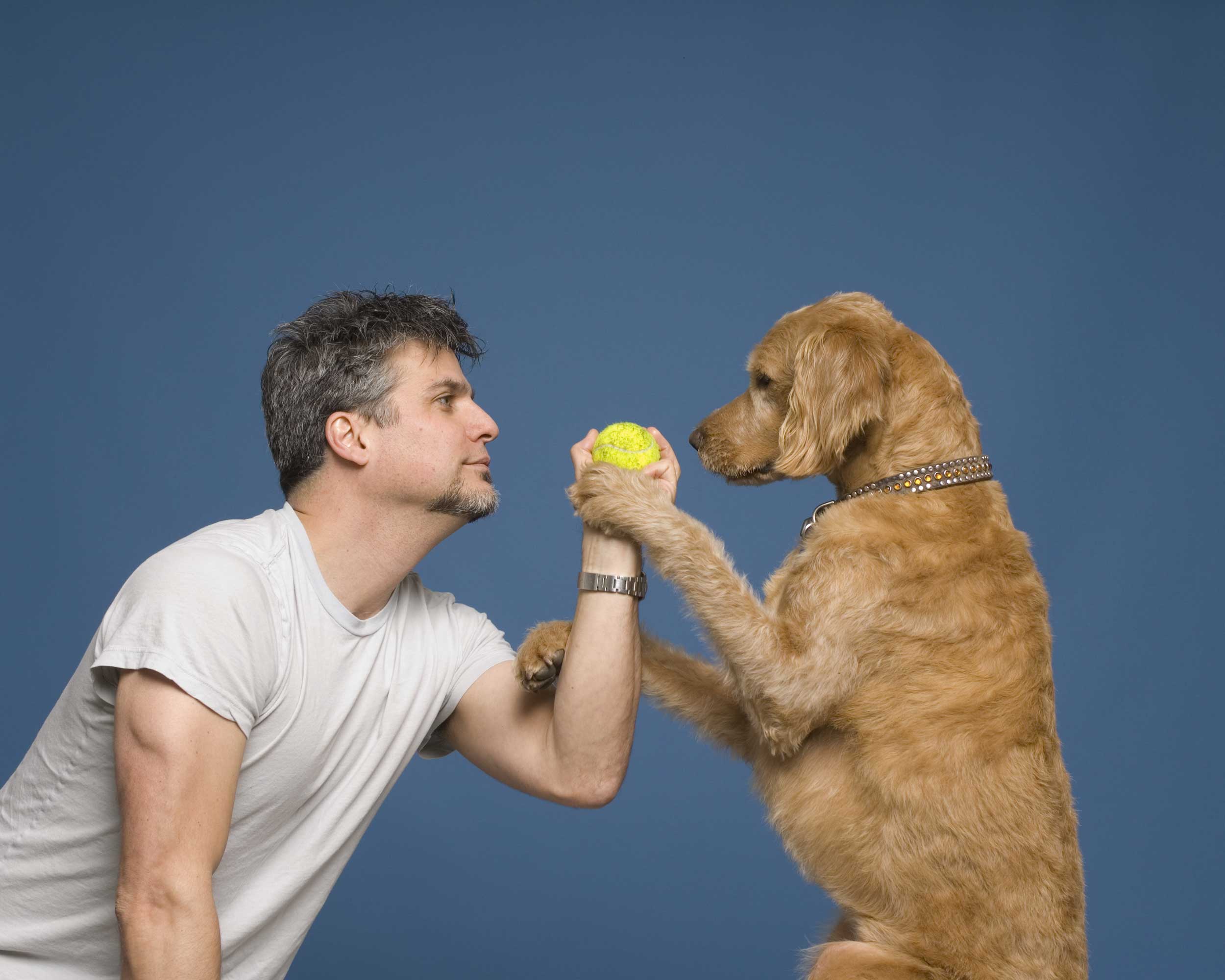 Garth Stein with a tennis ball in his hand showing it to his Labradoodle sitting in front of him