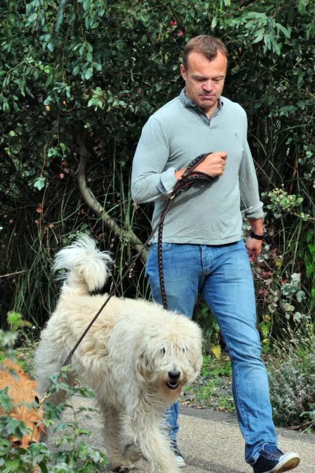 Graham Norton walking at the park with his Labradoodle