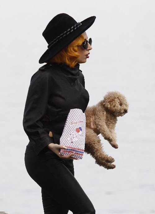 Lady Gaga walking at the beach while carrying her Labradoodle puppy