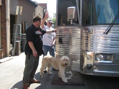 Neil Young waving while standing next to the bus with his Labradoodle