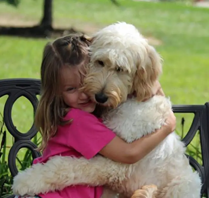 a young girl hugging a Labradoodle while they are sitting on the bench at the park