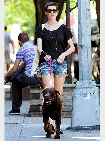Esmerelda (Anne Hathaway) walking in the street with her chocolate Labrador on the leash