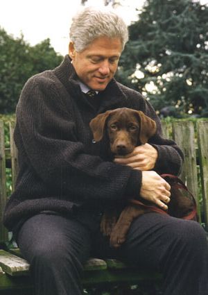 Bill Clinton sitting on the bench while hugging his chocolate labrador puppy