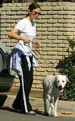 Martha (Jennifer Garner) taking a walk with her white labrador