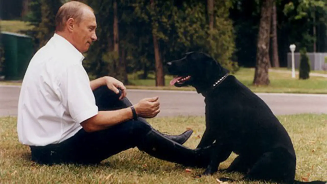 Koni (Vladimir Putin) sitting on the grass with his black labrador sitting in front of him