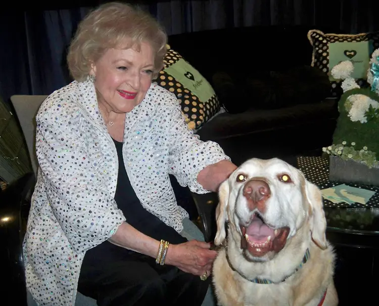 Betty White sitting on the chair while petting her Labrador sitting on the floor