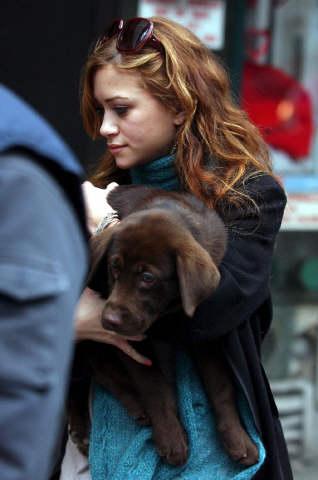 Mary Kate Olsen carrying her Labrador puppy