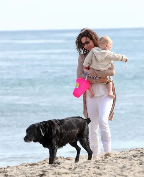 Minnie Driver walking by the seashore with her Labrador