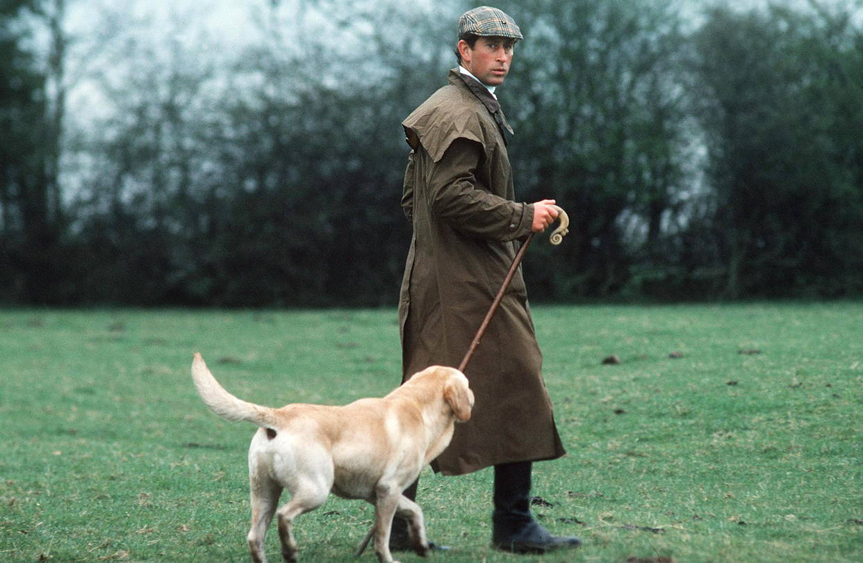 Prince Charles walking at the park with his Labrador