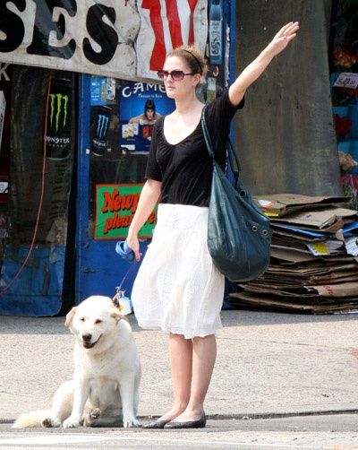 Drew Barrymore standing on the street with his white Labrador Retriever while raising her one hand to call a cab