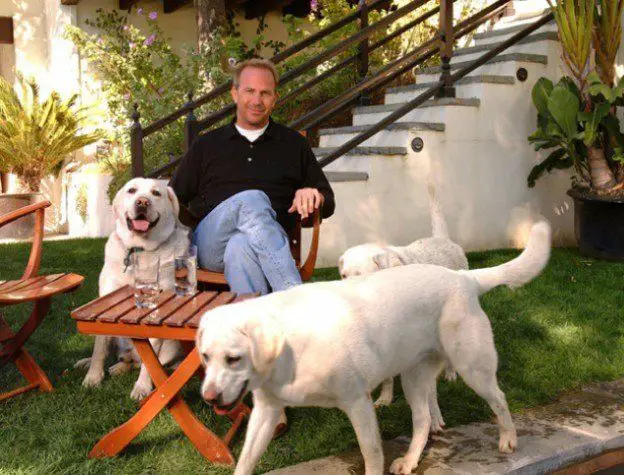 Kevin Costner sitting on the chair in the backyard with his three Labrador Retrievers