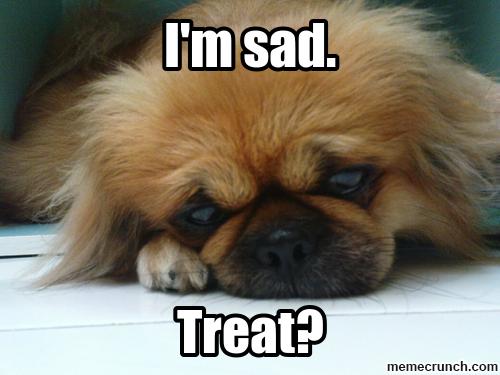 Pekingese lying down on the floor with its sad face with a text 