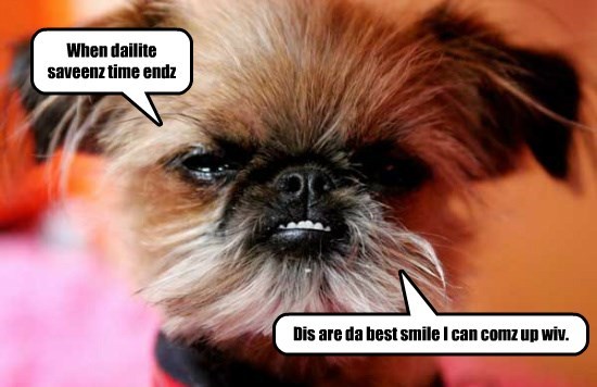 Pekingese smiling with its lower teeth photo with a text 
