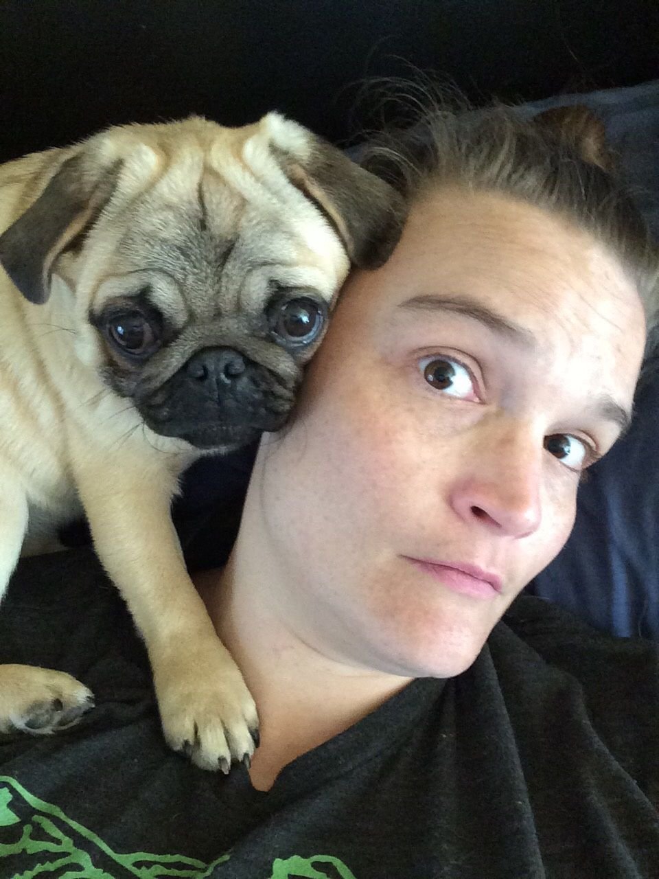 Pug puppy on its owner's shoulders