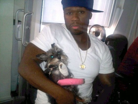 50 Cent carrying his Schnauzer dog