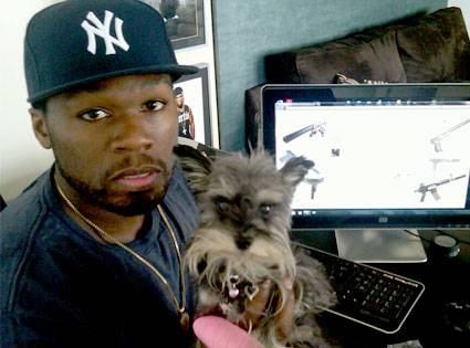 2 50 Cent sitting in front of the computer with his Schnauzer
