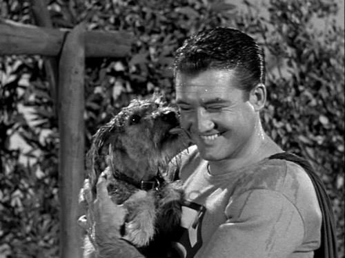 George Reeves with his Schnauzer licking his face