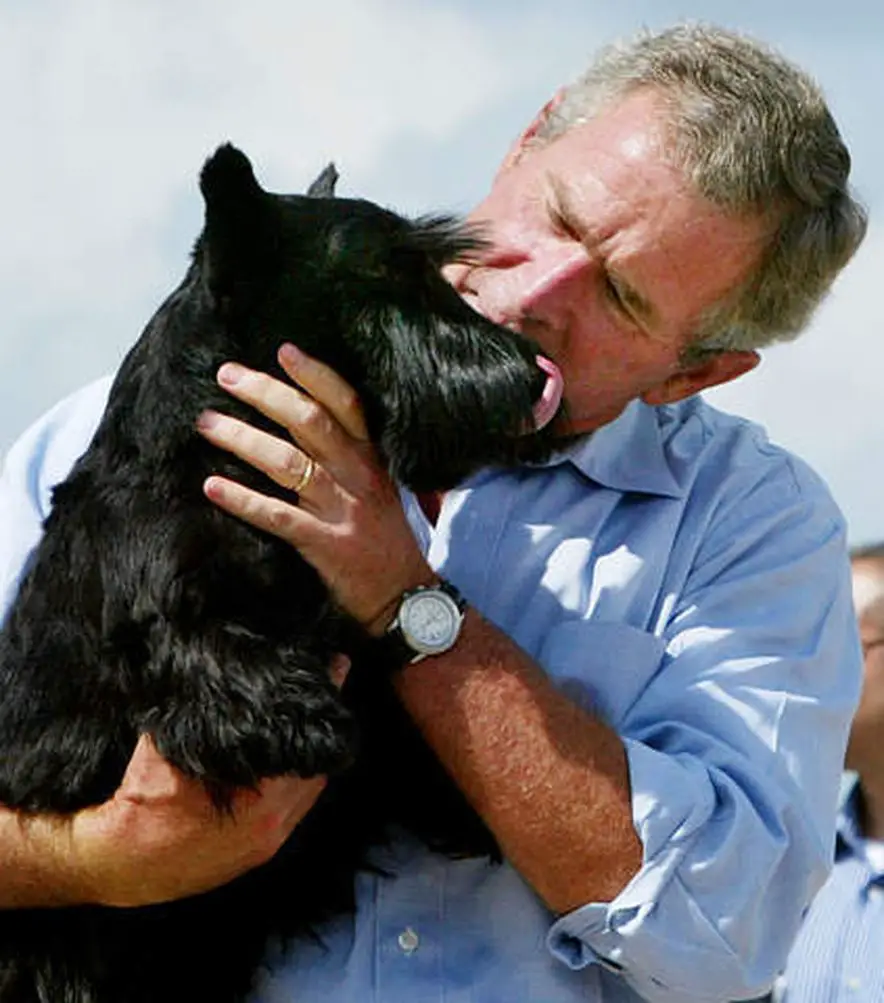 George W. Bush kissing his black Schnauzer
