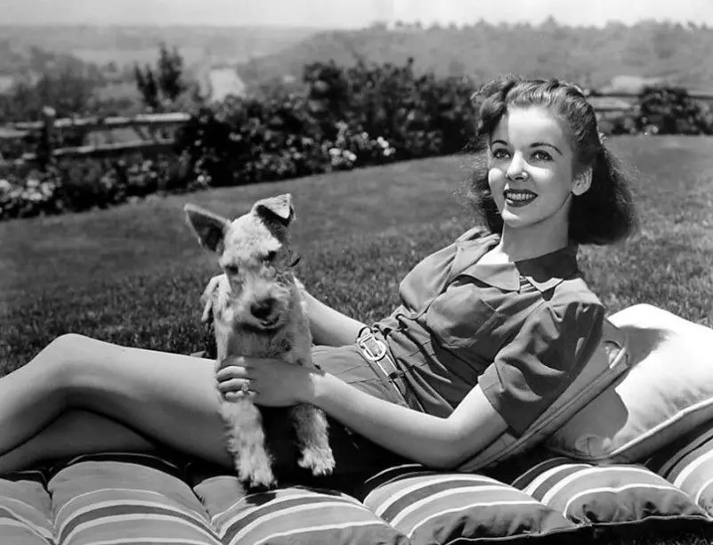 Ida Lupino lying on the bed outdoors with her Schnauzer dog on her lap