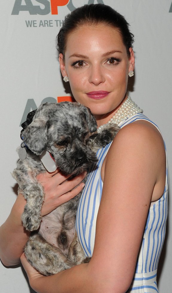 Katherine Heigl carrying her Schnauzer