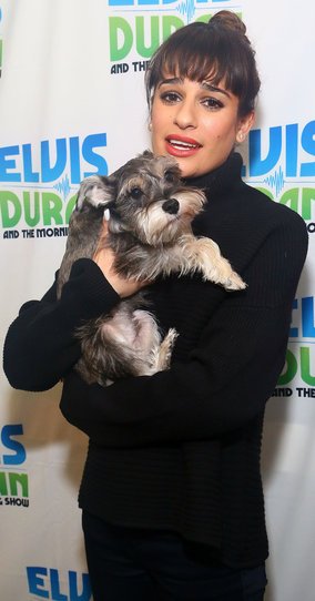 Lea Michele carrying her Schnauzer dog