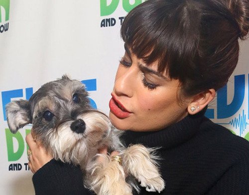 Lea Michele hugging her Schnauzer puppy