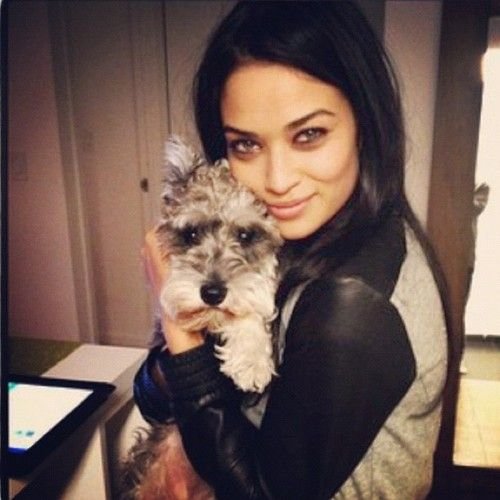 Shanina Shaik hugging her Schnauzer